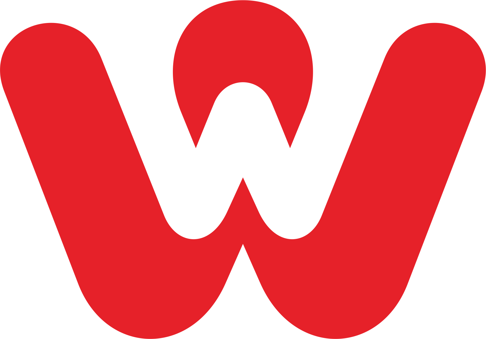 VitePress